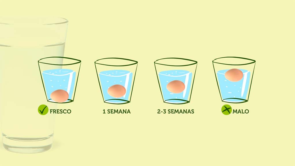 Rujamar - Lo sabías - Test del vaso de agua