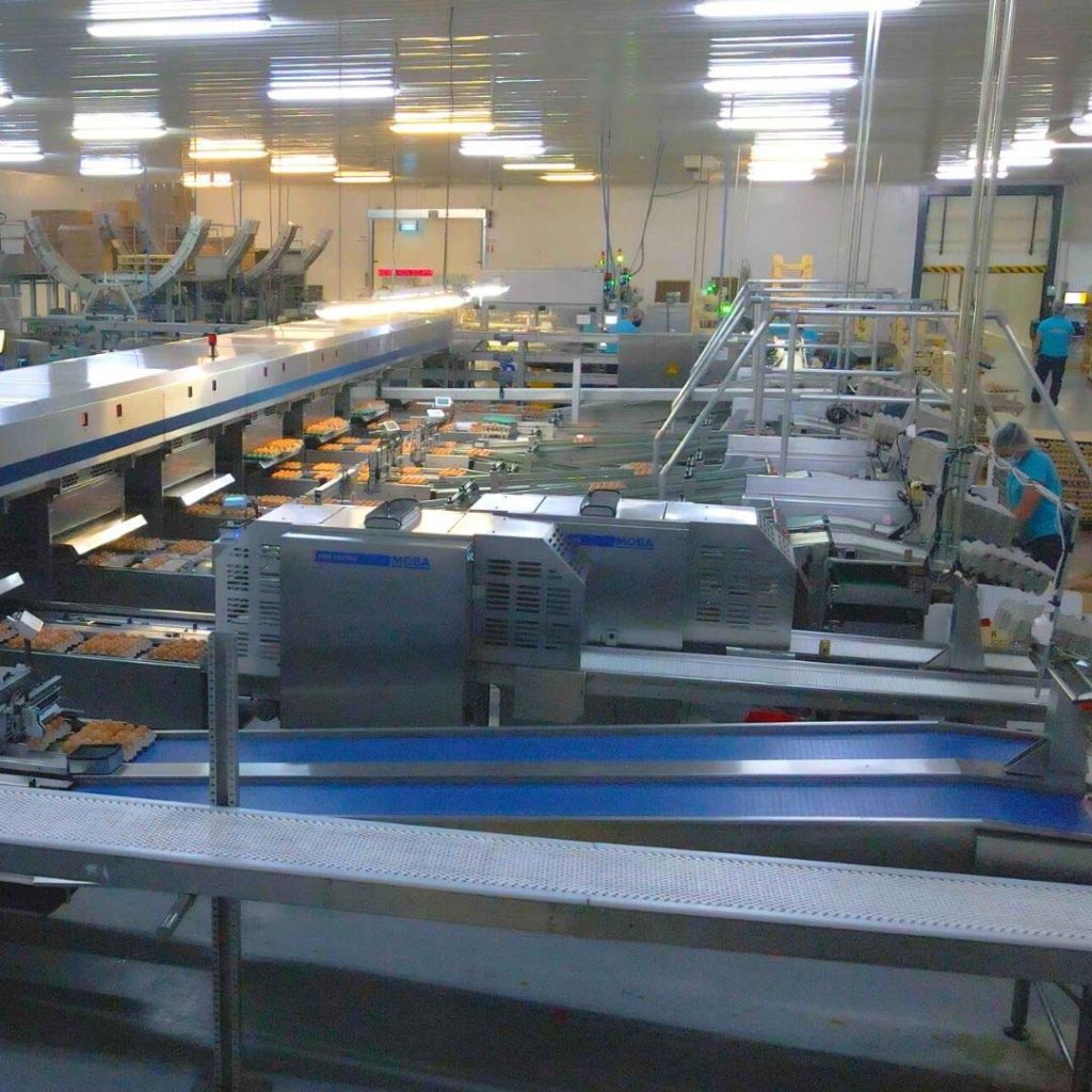 Rujamar - Calidad - Seguridad Alimentaria. Weighing system