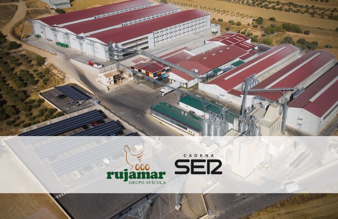 Grupo Avícola Rujamar trasladará sus oficinas centrales a Cuenca y creará una nueva planta de ovoproductos.