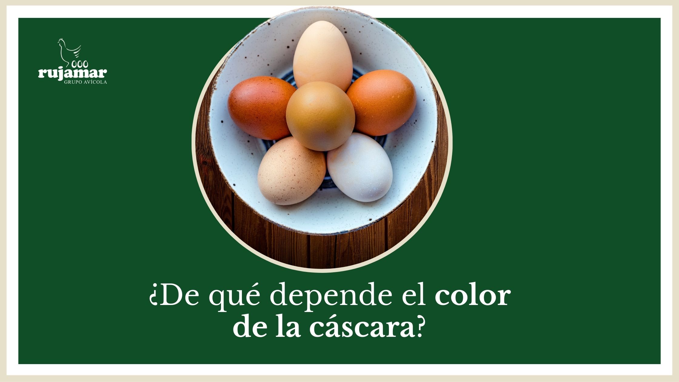 Huevos de diferentes colores ¿de que depende?