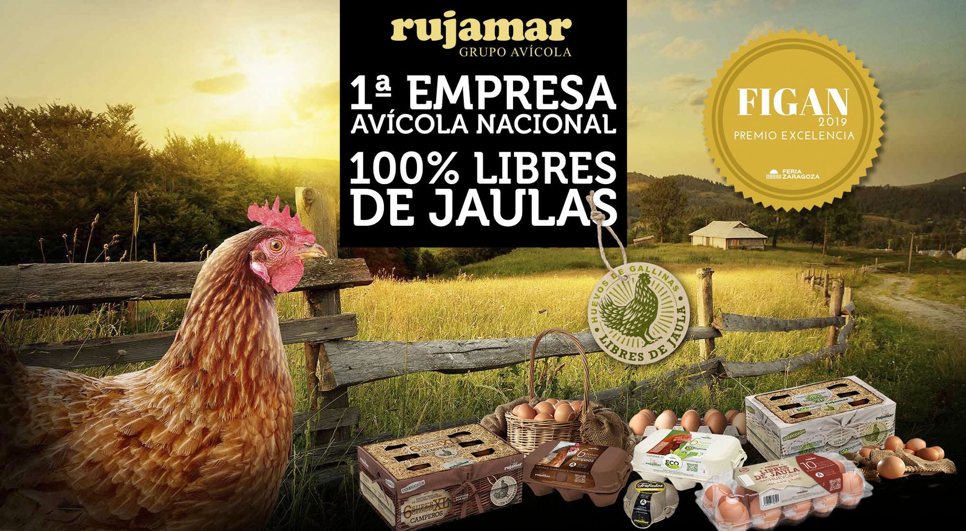 Rujamar liderará la producción libre de jaulas en 2019 gracias a su plan de inversión
