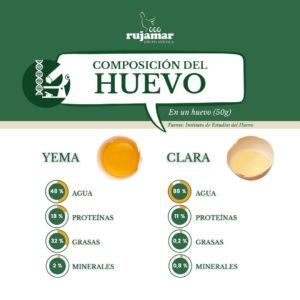 composicion del huevo rujamar