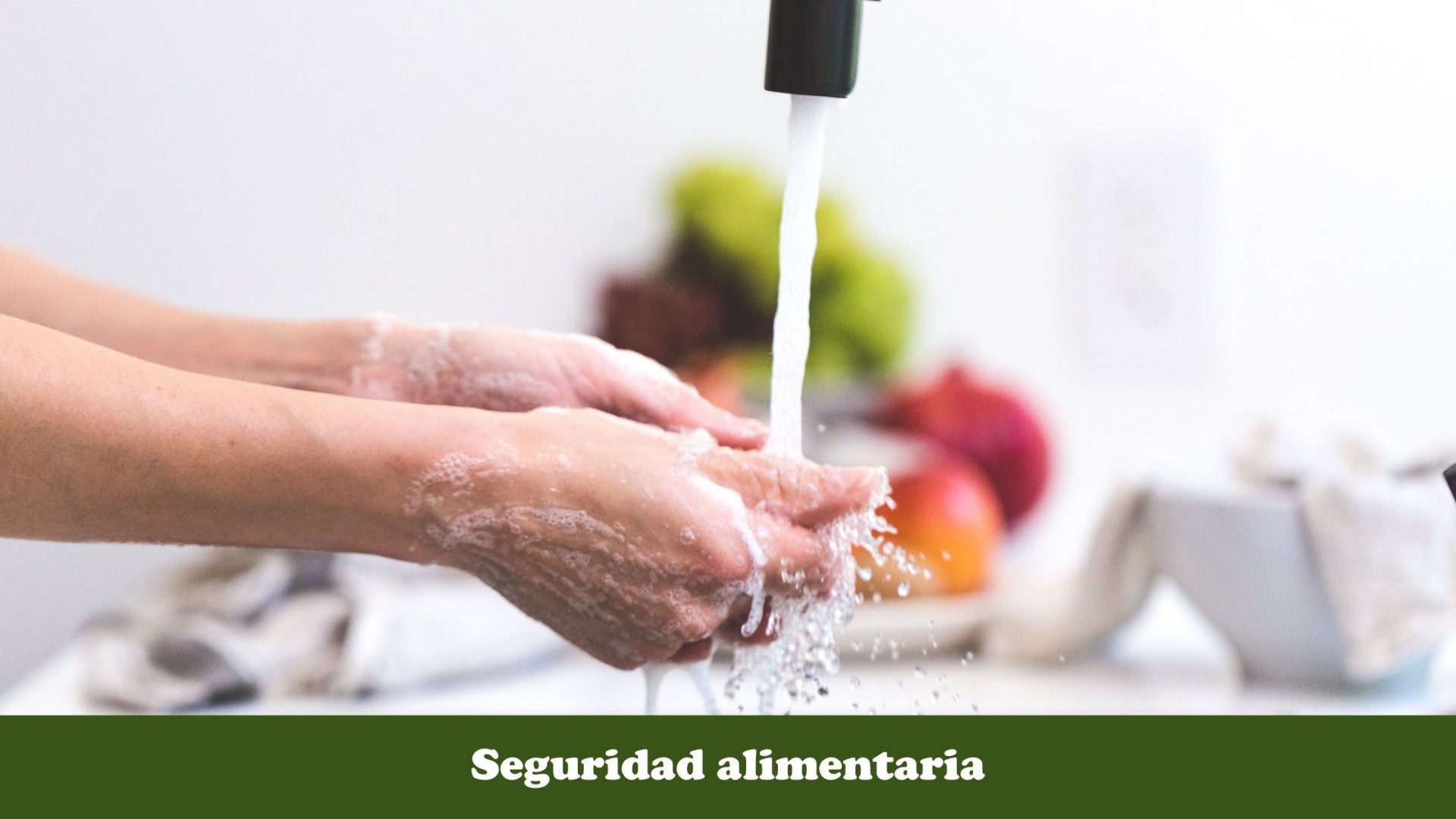 Diez consejos para prevenir la salmonelosis en huevos este verano
