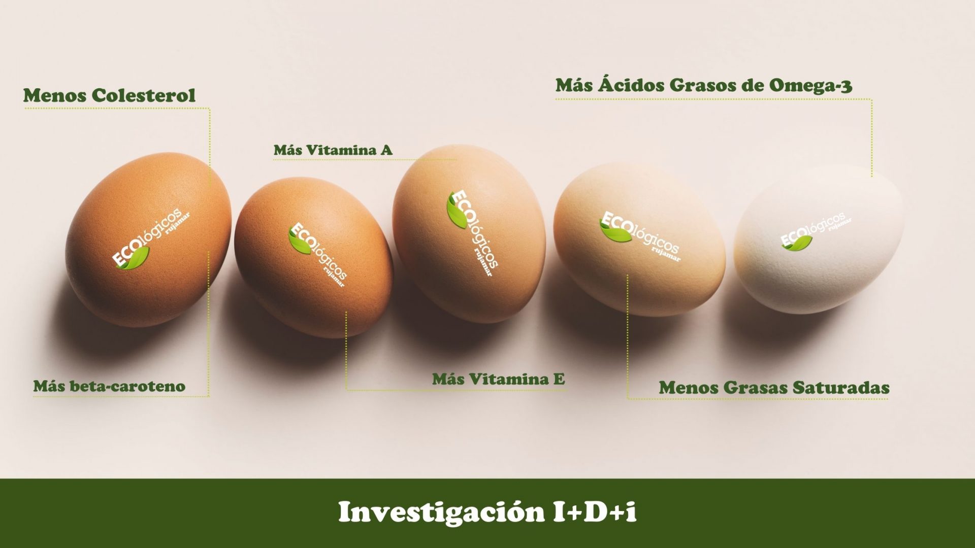 huevos ecológicos rujamar